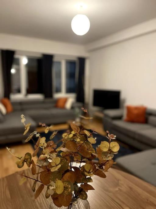 Beautiful Central Open Plan Living! Манчестер Екстер'єр фото